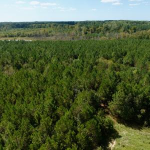 Photo #3 of Off Qualls Road, Hollister, NC 59.0 acres