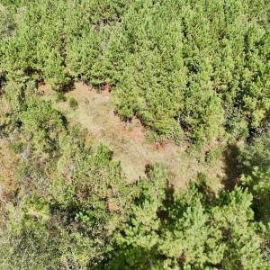 Photo #5 of Off Qualls Road, Hollister, NC 59.0 acres