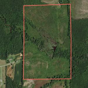 Photo #66 of Off Qualls Road, Hollister, NC 59.0 acres
