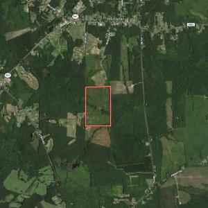 Photo #65 of Off Qualls Road, Hollister, NC 59.0 acres