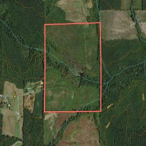 Photo #20 of Off Qualls Road, Hollister, NC 59.0 acres