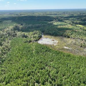Photo #21 of Off Qualls Road, Hollister, NC 59.0 acres