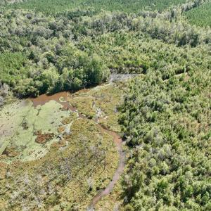 Photo #29 of Off Qualls Road, Hollister, NC 59.0 acres