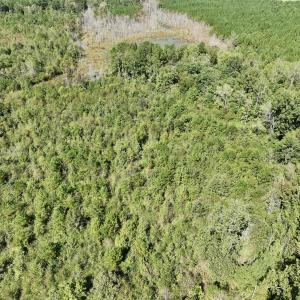 Photo #32 of Off Qualls Road, Hollister, NC 59.0 acres