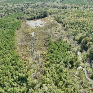 Photo #26 of Off Qualls Road, Hollister, NC 59.0 acres