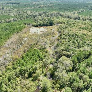 Photo #27 of Off Qualls Road, Hollister, NC 59.0 acres