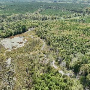 Photo #28 of Off Qualls Road, Hollister, NC 59.0 acres