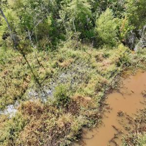 Photo #41 of Off Qualls Road, Hollister, NC 59.0 acres