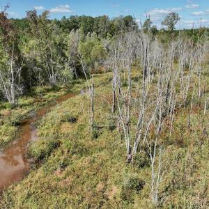 Photo #46 of Off Qualls Road, Hollister, NC 59.0 acres