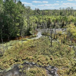 Photo #48 of Off Qualls Road, Hollister, NC 59.0 acres