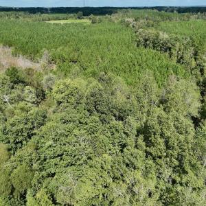 Photo #52 of Off Qualls Road, Hollister, NC 59.0 acres