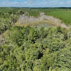 Photo #53 of Off Qualls Road, Hollister, NC 59.0 acres