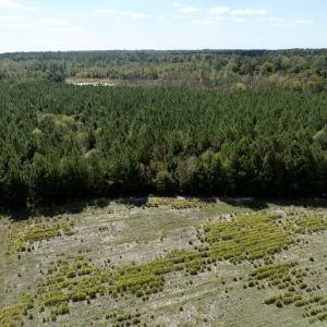 Photo #60 of Off Qualls Road, Hollister, NC 59.0 acres