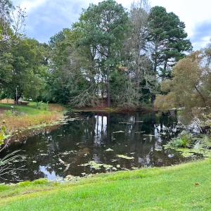 Photo #3 of 1236 Willowbrook Dr, Suffolk, VA 0.6 acres