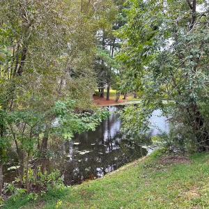 Photo #21 of 1236 Willowbrook Dr, Suffolk, VA 0.6 acres