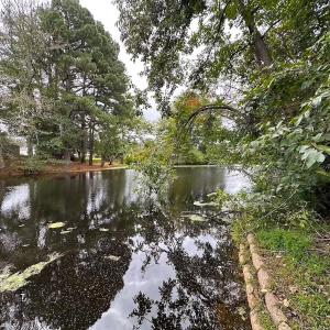 Photo #22 of 1236 Willowbrook Dr, Suffolk, VA 0.6 acres