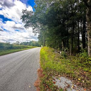 Photo #42 of 9161 Whispering Pines Trl, Windsor, VA 5.4 acres