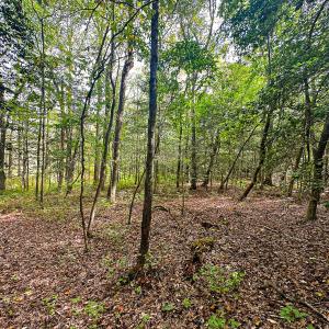 Photo #43 of 9161 Whispering Pines Trl, Windsor, VA 5.4 acres