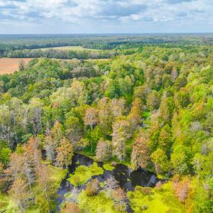 Photo #47 of 9161 Whispering Pines Trl, Windsor, VA 5.4 acres