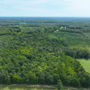 Photo #13 of Off Mann Oakley Road, Rougemont, NC 11.2 acres