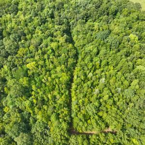 Photo #24 of Off Mann Oakley Road, Rougemont, NC 11.2 acres