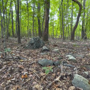 Photo #36 of Off Mann Oakley Road, Rougemont, NC 11.2 acres