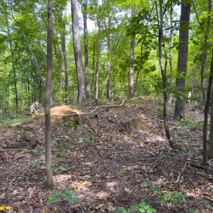 Photo #41 of Off Mann Oakley Road, Rougemont, NC 11.2 acres