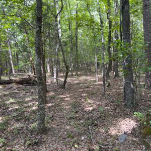 Photo #45 of Off Mann Oakley Road, Rougemont, NC 11.2 acres