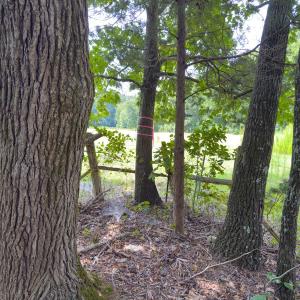 Photo #52 of Off Mann Oakley Road, Rougemont, NC 11.2 acres