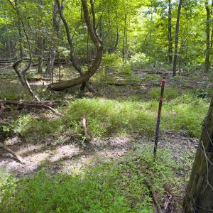 Photo #53 of Off Mann Oakley Road, Rougemont, NC 11.2 acres