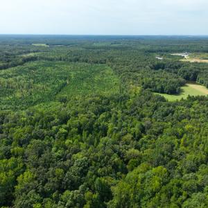 Photo #9 of Off Mann Oakley Road, Rougemont, NC 11.2 acres