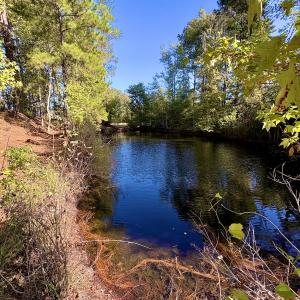 Photo #1 of Off Dew RD, Temperance Hill, SC 17.3 acres