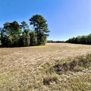 Photo #2 of Off Dew RD, Temperance Hill, SC 17.3 acres