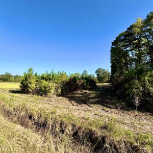Photo #3 of Off Dew RD, Temperance Hill, SC 17.3 acres