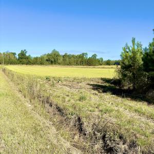 Photo #4 of Off Dew RD, Temperance Hill, SC 17.3 acres