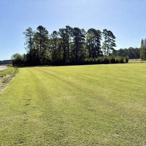 Photo #6 of Off Dew RD, Temperance Hill, SC 17.3 acres
