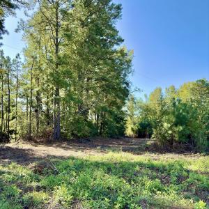 Photo #7 of Off Dew RD, Temperance Hill, SC 17.3 acres