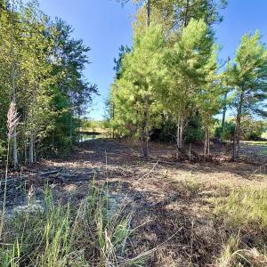 Photo #8 of Off Dew RD, Temperance Hill, SC 17.3 acres