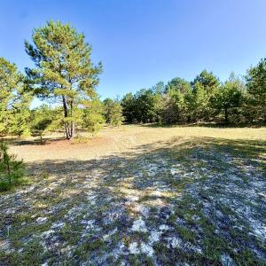Photo #17 of Off Dew RD, Temperance Hill, SC 17.3 acres