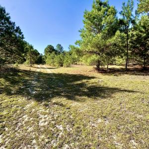 Photo #18 of Off Dew RD, Temperance Hill, SC 17.3 acres
