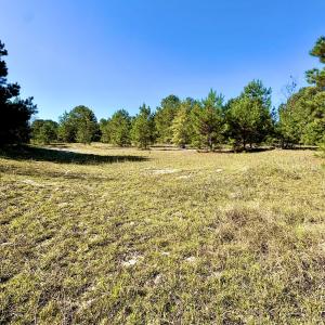 Photo #19 of Off Dew RD, Temperance Hill, SC 17.3 acres