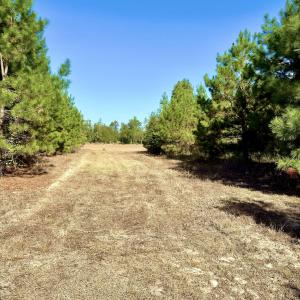 Photo #20 of Off Dew RD, Temperance Hill, SC 17.3 acres