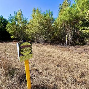 Photo #21 of Off Dew RD, Temperance Hill, SC 17.3 acres
