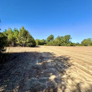 Photo #22 of Off Dew RD, Temperance Hill, SC 17.3 acres
