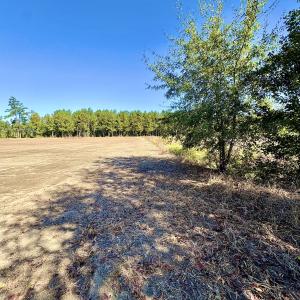 Photo #23 of Off Dew RD, Temperance Hill, SC 17.3 acres
