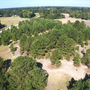 Photo #24 of Off Dew RD, Temperance Hill, SC 17.3 acres