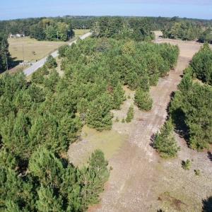 Photo #25 of Off Dew RD, Temperance Hill, SC 17.3 acres