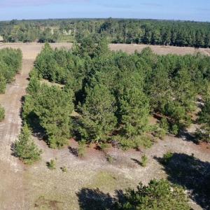Photo #26 of Off Dew RD, Temperance Hill, SC 17.3 acres