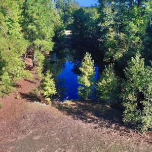 Photo #27 of Off Dew RD, Temperance Hill, SC 17.3 acres