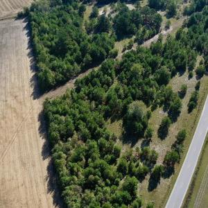Photo #28 of Off Dew RD, Temperance Hill, SC 17.3 acres